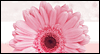 Friendship Adds Joy to Everything -- Friendship eCard from Yahoo! Greetings