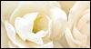 Youre Beautiful Inside & Out -- Friendship eCard from Yahoo! Greetings