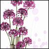 On Your Birthday and Always -- Birthday Greeting Cards project from Yahoo! Greetings