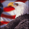 Our Country -- 4th of July Greeting Cards project from Yahoo! Greetings