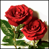 So Glad I Have You -- Loving You Greeting Cards project from Yahoo! Greetings