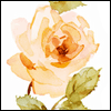 Theres a Better Place -- Loss of Loved Ones Sympathy Greeting Cards project from Yahoo! Greetings