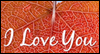 More Than Love -- Love eCard from Blue Mountain