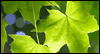11/15 America Recycles Day -- November Celebrate the Date eCard from Yahoo! Greetings