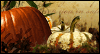 Warm Thoughts and Prayers -- Thanksgiving eCard from Yahoo! Greetings