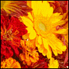 To a Special Family -- Everyday Thanksgiving Greeting Cards project from Yahoo! Greetings