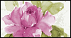 For A Wonderful Daughter-in-Law -- Daughter Birthday eCard from Yahoo! Greetings