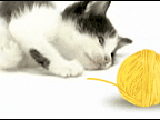 We Have A Ball 