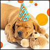 Birthday Dreams -- Birthday Greeting Cards project from Yahoo! Greetings