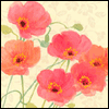 All That Your Mother Meant -- Loss of Family Member Sympathy Greeting Cards project from Yahoo! Greetings