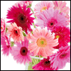 Thanks for Your Friendship -- Friends Valentines Day Card project from Yahoo! Greetings