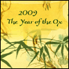 The Year of the Ox -- Chinese New Year Greeting Cards project from Yahoo! Greetings