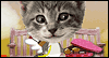 Singing Ecard: The Kitty Cupids -- Happy Valentine's Day eCard from Yahoo! Greetings