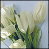 You Are Cared For -- Loss of Loved Ones Sympathy Greeting Cards project from Yahoo! Greetings
