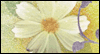 Happy Boss's Day -- Boss's Day eCard from Yahoo! Greetings
