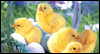 Two Wishes: Free Easter ecard from Egreetings