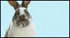 You're Missed at Easter -- Easter eCard from Yahoo! Greetings