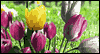 Blessings of Easter --  eCard from Yahoo! Greetings