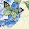 Today, Tomorrow & Always -- Couples Anniversary Greeting Cards project from Yahoo! Greetings
