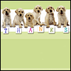 Thanks for Being You -- Thank You Greeting Card project from Yahoo! Greetings