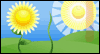 HDgreetings: Love Flowers --  eCard from Yahoo! Greetings