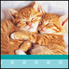 Cuddly Anniversary Wishes -- Couples Anniversary Greeting Cards project from Yahoo! Greetings