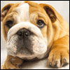 What Wrinkles? -- Funny Birthday Greeting Cards project from Yahoo! Greetings