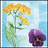 Think Good thoughts -- Get Well Greeting Cards For Anyone project from Yahoo! Greetings