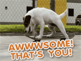 Thanks, You're Awwwwsome! 