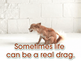 Life's a Drag 