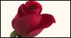 Happy Valentine's Day: Free Valentine's Day ecard from Egreetings