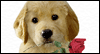 Happy Valentine's Day: Free Valentine's Day ecard from Egreetings