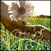 Thinking of You on Mother's Day -- Mother's Day For Other Moms project from Yahoo! Greetings