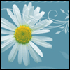 Happy Mother's Day from Her Son -- Mother's Day Greeting Cards For Mom project from Yahoo! Greetings