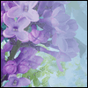 What is Mother's Day? -- Mother's Day For Other Moms project from Yahoo! Greetings