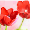 With Our Thanks, Mother -- Mother's Day Greeting Cards For Mom project from Yahoo! Greetings