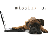 Missing U 