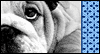 Do You Really Have to Go? -- Pets Just Because eCard from Yahoo! Greetings
