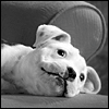 It's Your Day -- Fathers Day Greeting Cards to Dad project from Yahoo! Greetings