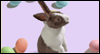 Thinking of you...Happy Easter: Free Easter ecard from Egreetings