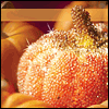 Halloween Sparkles -- Everyday Halloween Greeting Cards project from Yahoo! Greetings