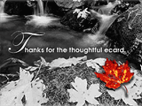 Thoughtful Thanks 