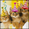 Purr-fect Birthday -- Birthday Greeting Cards project from Yahoo! Greetings