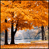 The Feelings That Keep Us Close -- Across the Miles Thanksgiving Greeting Cards project from Yahoo! Greetings