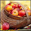 Favorite Memories, Fun, and Laughter -- Everyday Thanksgiving Greeting Cards project from Yahoo! Greetings