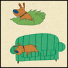 How Dogs Celebrate Birthdays -- Birthday Greeting Cards project from Yahoo! Greetings