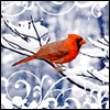 Across the Miles -- Everyday Christmas Greeting Cards project from Yahoo! Greetings