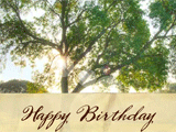 Birthday Blessing 