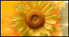 Warm Thanks --  eCard from Yahoo! Greetings
