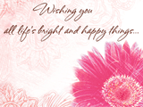 A Bright and Happy Wish 